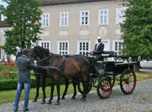 palace manor hotel restaurant indkvartering lejligheder værelser i Polen Mazury