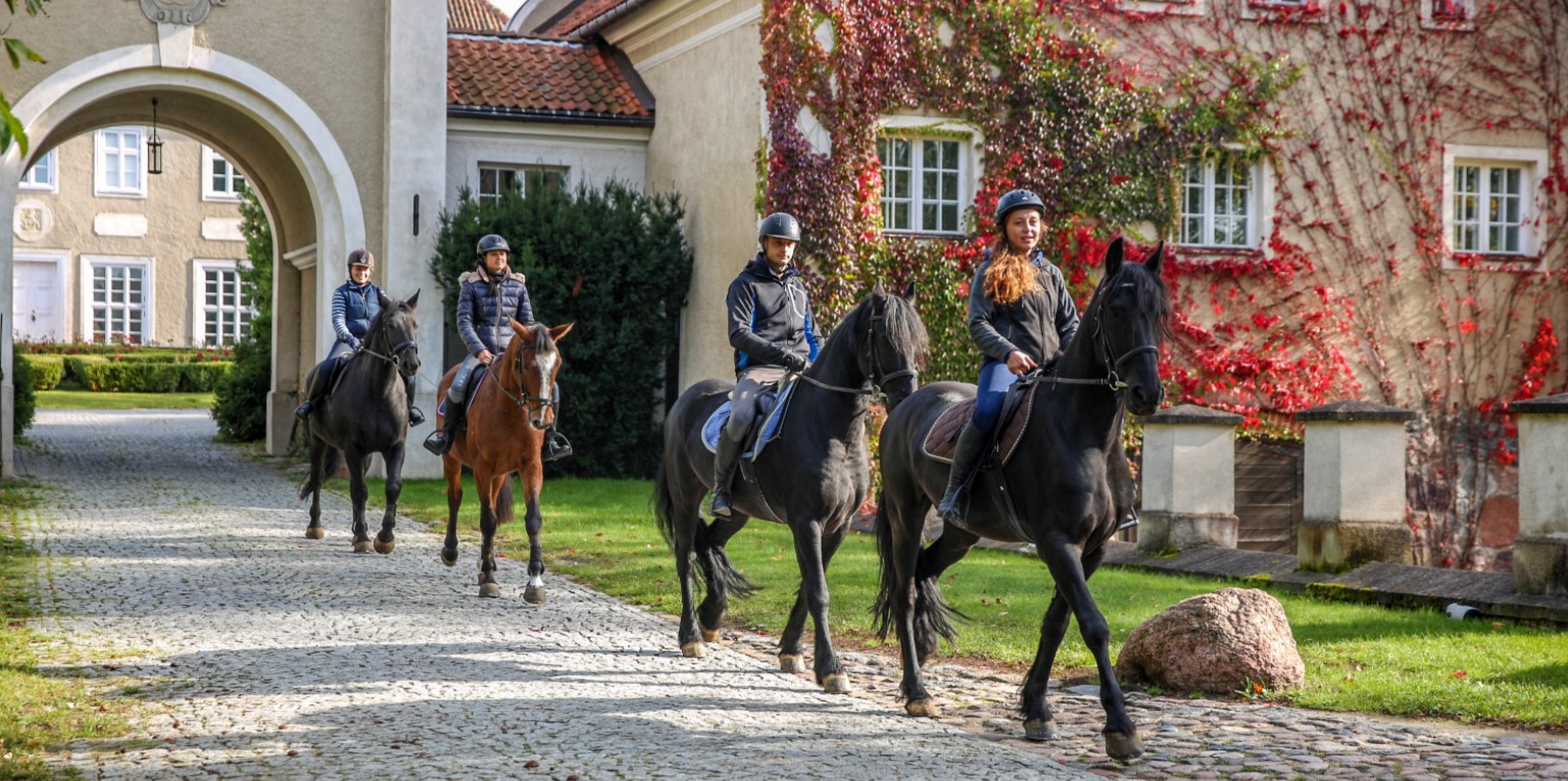 palace manor hotel restaurant indkvartering lejligheder værelser i Polen Mazury