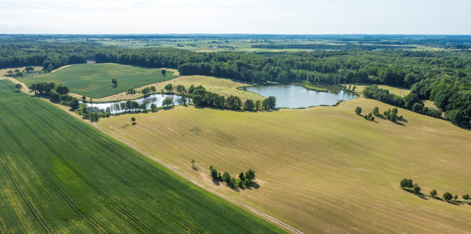 palace manor hotel restaurant indkvartering lejligheder værelser i Polen Mazury
